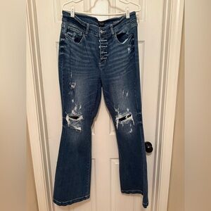 Judy Blue Jeans.  Only worn a couple of times.